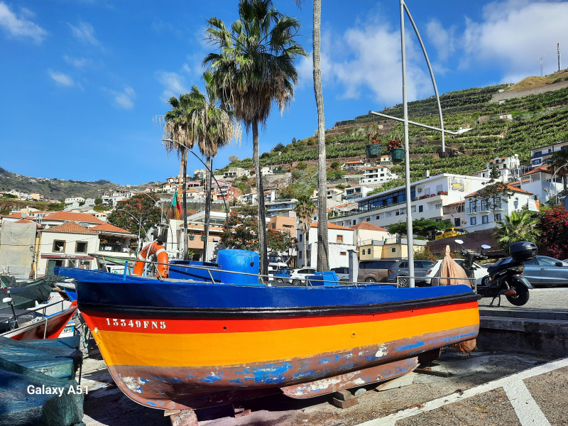 Avis de Sabine R. - Voyage en Portugal Açores Madère