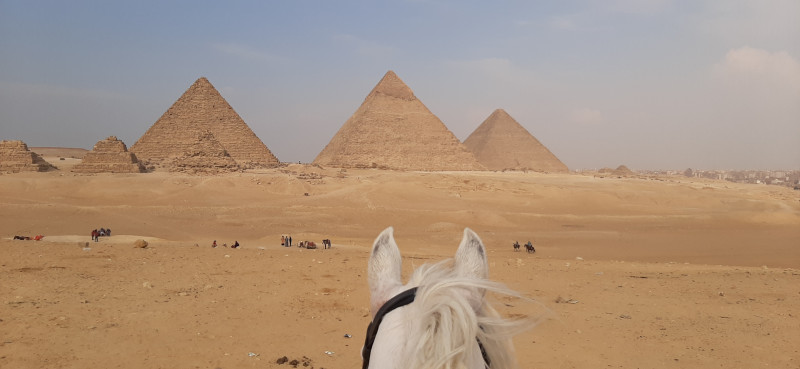 Avis de Clémentine  - Voyage en Egypte