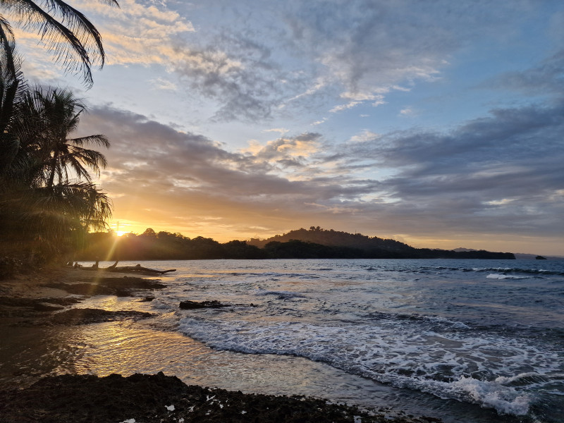 Avis de Martine D. - Voyage en Costa Rica