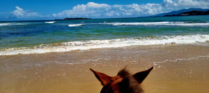 Avis de Kaye - Voyage en Rép. Dominicaine