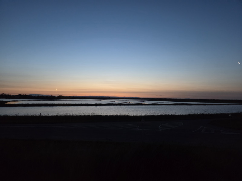 Avis de Catherine - Voyage en Camargue - Languedoc