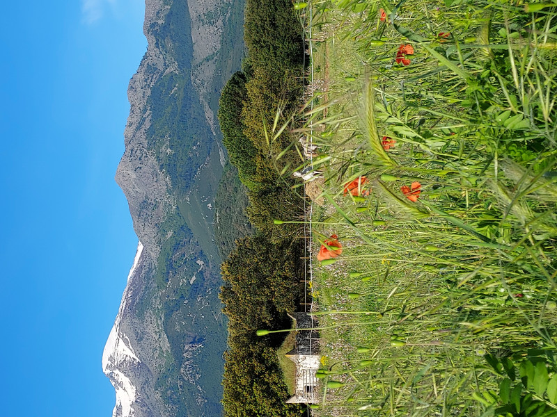 Avis de Florence Roux - Voyage en France
