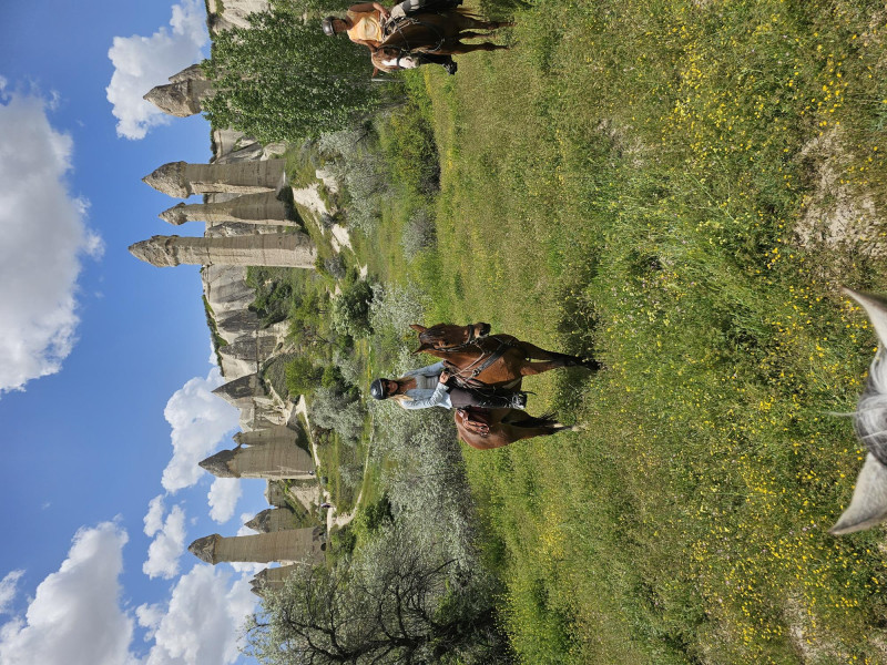 Avis de Lydie  - Voyage en France