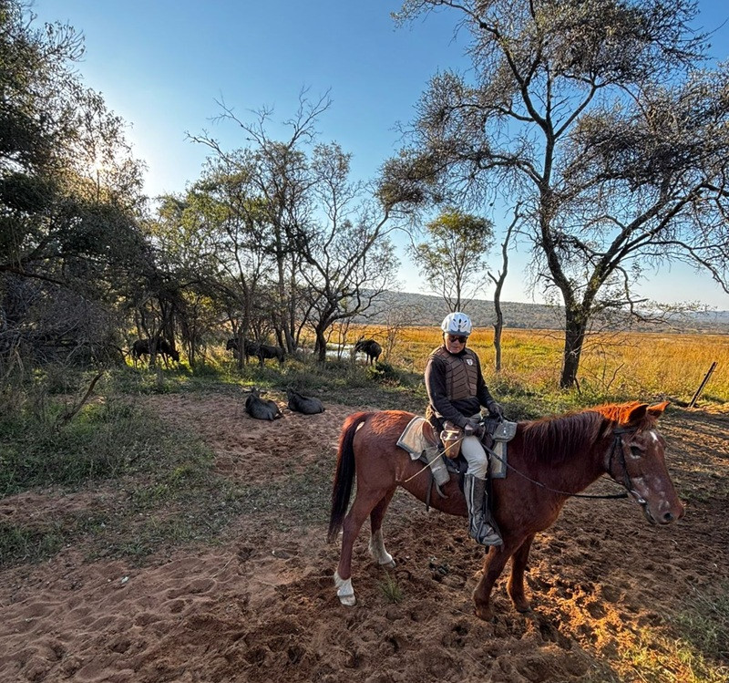 Avis de Uwe - Voyage en Afrique du Sud