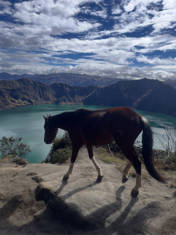 Avis de Charlotte  - Voyage en Equateur