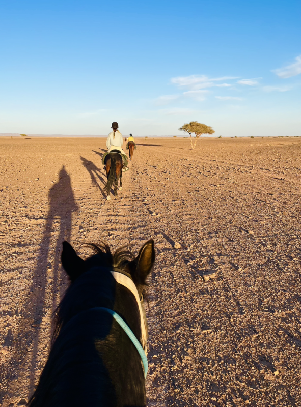 Avis de Alice - Voyage en Maroc