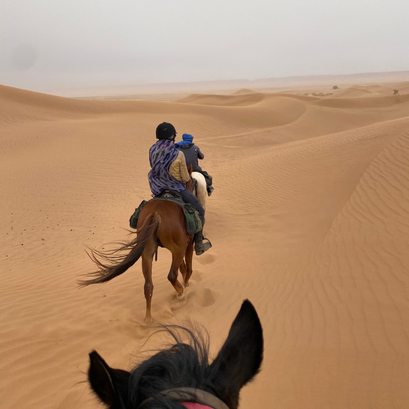 Avis de Thierry - Voyage en Maroc