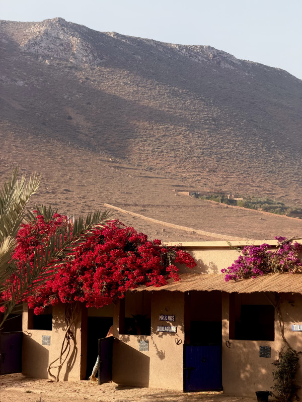 Avis de Mathis Anne-Sophie  - Voyage en Maroc
