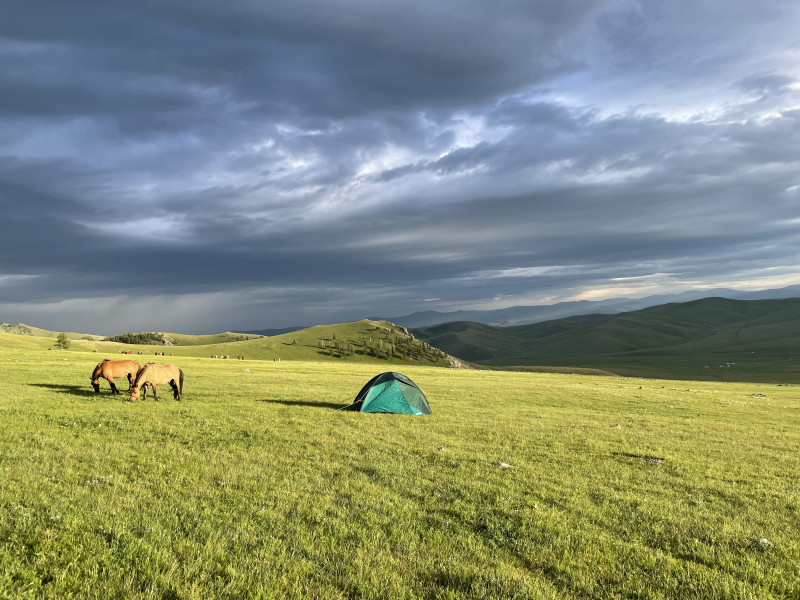 Avis de Marianne - Voyage en Mongolie