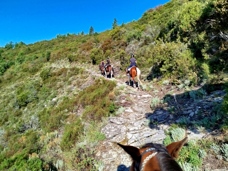 Avis de Audrey - Voyage en Corse