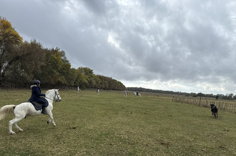 Avis de Mme M - Voyage en Camargue - Languedoc