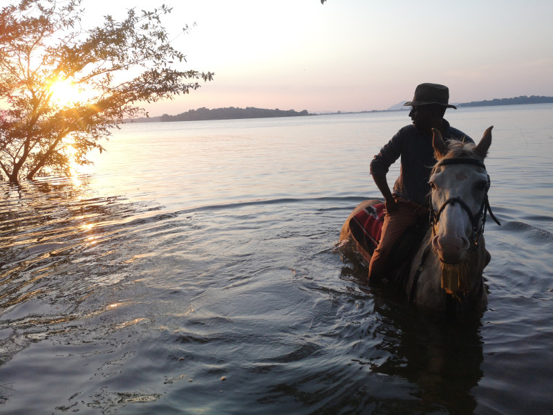 Avis de Daniel - Voyage en Sri Lanka