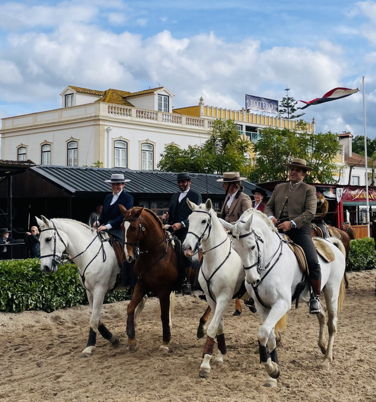 Avis de Angelique - Voyage en Portugal Açores Madère