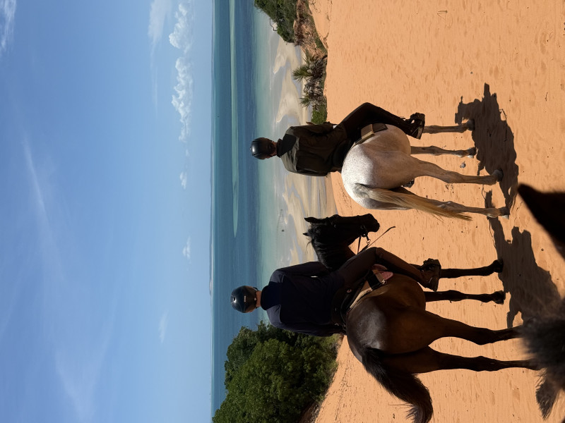 Avis de Famille Biselx - Voyage en Mozambique