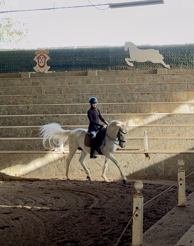 Avis de Elisa - Voyage en Portugal Açores Madère