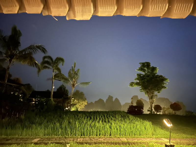 Avis de Michèle D. - Voyage en Indonésie