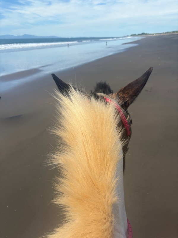 Avis de SOPHIE DUFAU HELME - Voyage en France