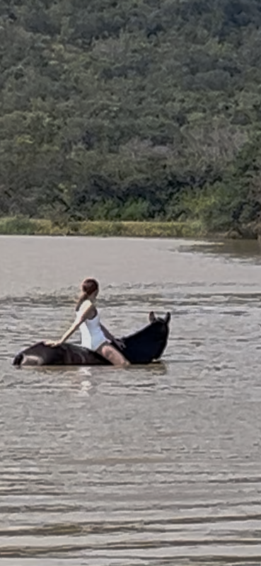 Avis de C&eacute;cile Chambon de Feugerolles  - Voyage en Afrique du Sud