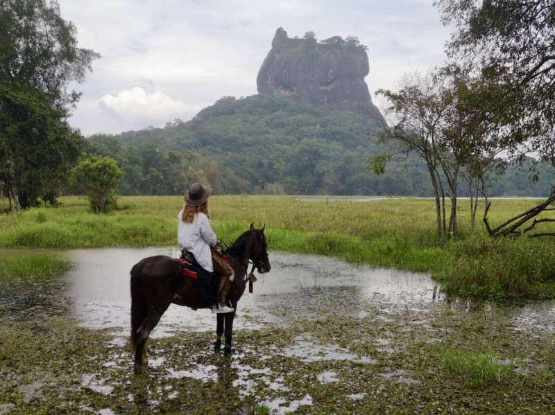 Avis de Cindy  - Voyage en Sri Lanka