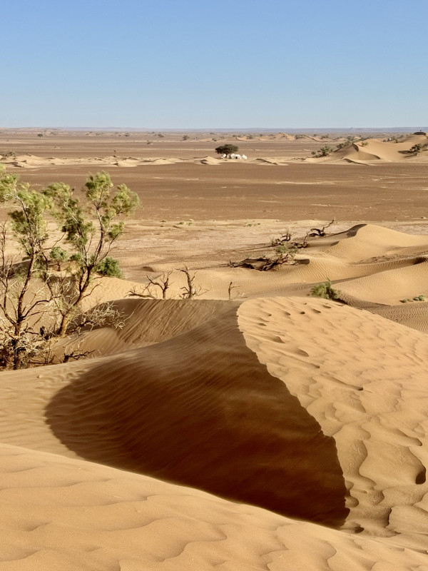 Avis de Julien  - Voyage en Maroc