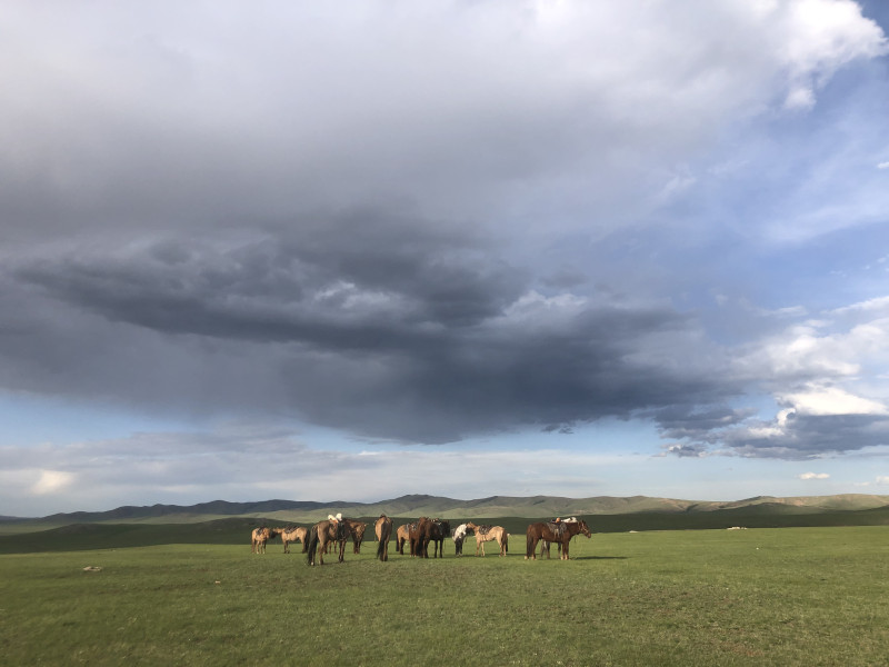 Avis de Aude - Voyage en Mongolie