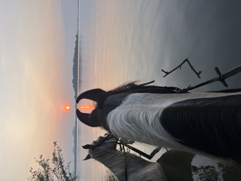 Avis de Lucile - Voyage en Sri Lanka