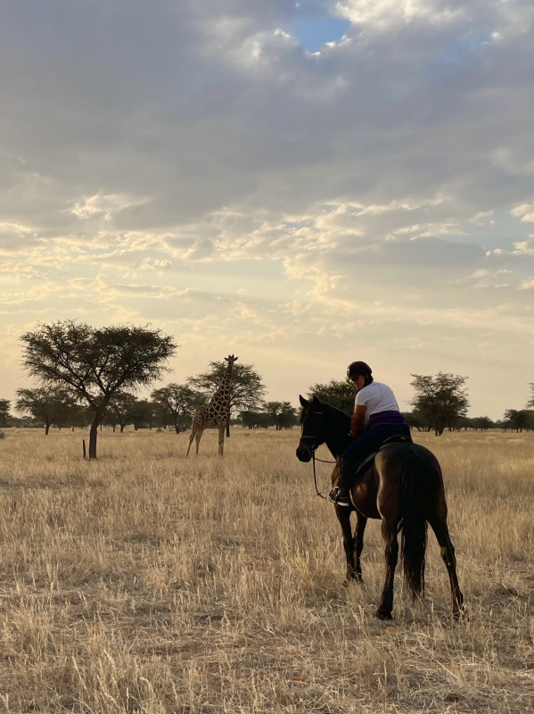 Avis de Marion - Voyage en Namibie