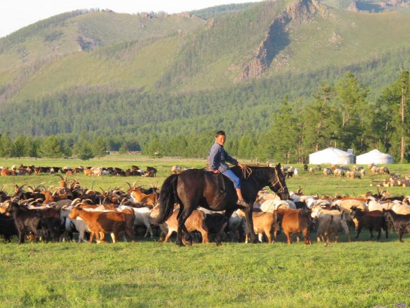 Avis de Muriel  - Voyage en Mongolie