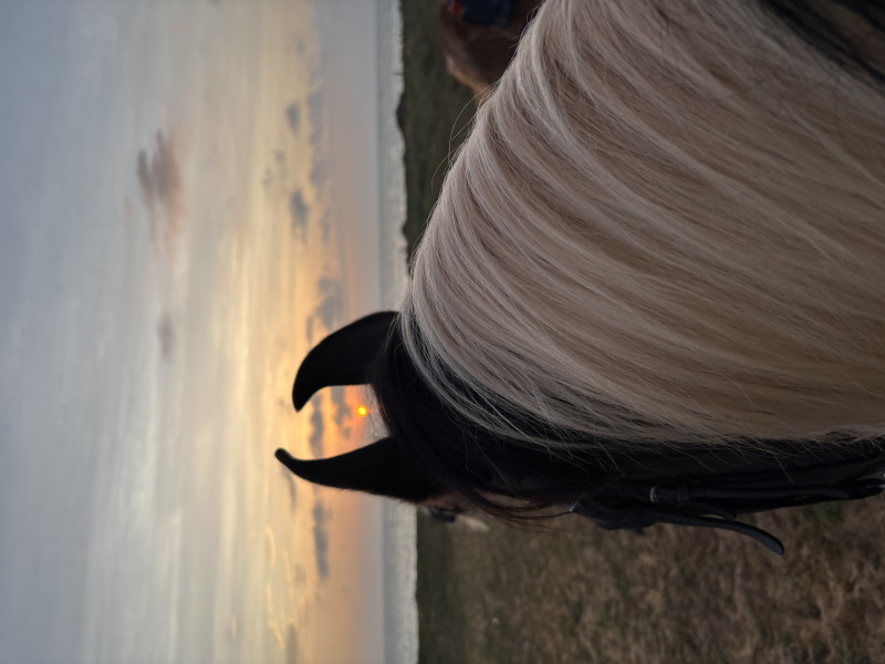 Avis de Sarah - Voyage en Sri Lanka