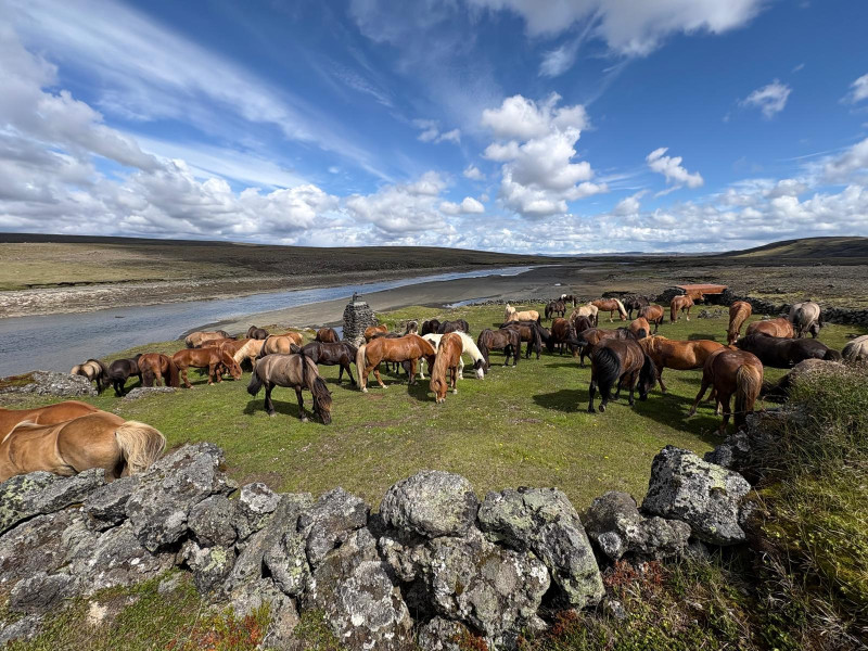 Avis de GERALDINE BAROFFIO - Voyage en Islande