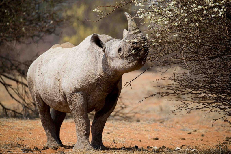 Avis de Hava LEFEBVRE - Voyage en Namibie