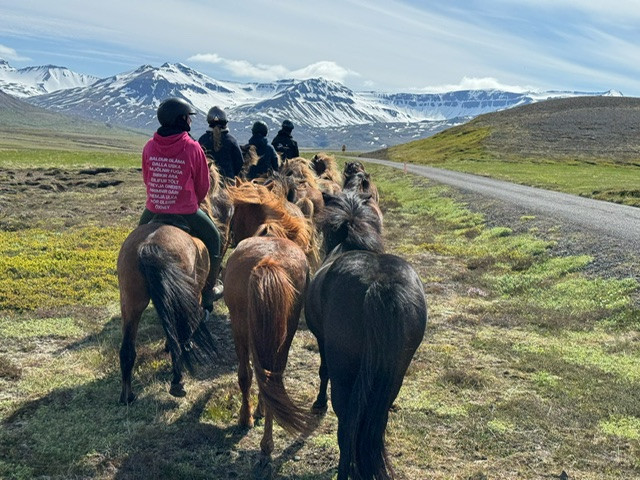 Avis de V&eacute;ronique - Voyage en Islande